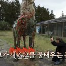 유리민박 이미지