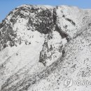 제주청소대통령 이미지