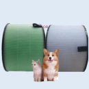 필DNP