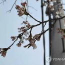 춘천소양강댐 입구 주차장 연합뉴스