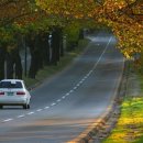 청주가로수길 이미지