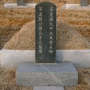 선세 이미지