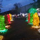 수목원테마파크 이미지