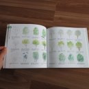 초보자도 쉽게 하는 어반스케치 이미지