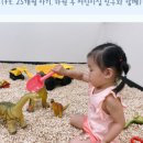 이키즈랜드 이미지