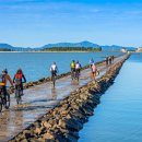 관광여행업 이미지