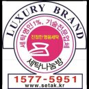 오포세탁소 이미지
