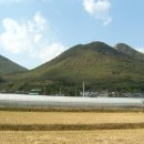 김극뉴 묘역 이미지