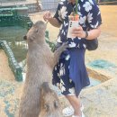 가 남 | 다낭여행 가볼만한 곳 관광명소. 바나힐, 빈원더스 남호이안 솔직후기 현지인에게 들은 이용팁