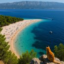 브라차