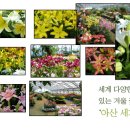 꽃이피는곳