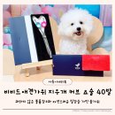 곱슬강아지 | 강아지미용가위 입문 추천템 비비드애견가위 셀프미용 후기
