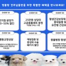 멍블랑 강아지분양 시흥배곧점 이미지