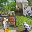 용인 한터농원 셀프바베큐/매점 금액 상세후기