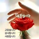 청향 이미지