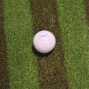 파크 힐(477)[스크린] | 을지로 스크린골프 골프존파크 을지로3가역점 골린이 스크린골프 기록