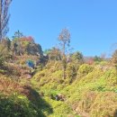20231102오후금정산(일부 인문)산행