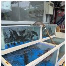 바다횟집 이미지