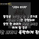 나만고양이없어 이미지