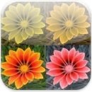 검안아이케어안경 이미지