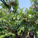 손별농장 이미지