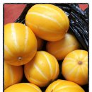 정명치과의원 이미지