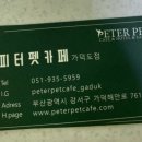 피터펫카페 가덕도점 이미지