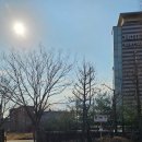 바둑 | 바둑 승급 심사 후기 ㅣ YBM 연수원 ㅣ 주차 시설 부모대기공간