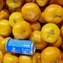 얼룩이농장 이미지