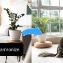 하모나이즈 이미지