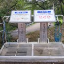 대석 Daum카페
