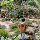 평강농장 | 경기도 포천 여행 포천 아이들과 가볼만한곳 평강랜드 동물 먹이주기 체험