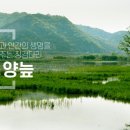정양늪생태공원 이미지