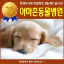 아마존동물병원 이미지