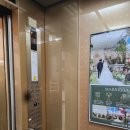 둔산중로-11 | (광고X, 카페X) 대전 예식장 야외 느낌 밝은 웨딩홀 추천 [메리비아포레] 실제 계약 견적 후기