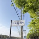 개꿀 | 안산 똑버스 후기 (개꿀)