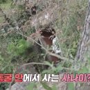 동굴펜션 이미지