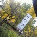 성신한약방