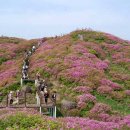 바래봉식품 Daum카페
