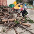 이대원농장 이미지