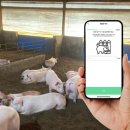 자가농장 이미지