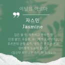 가정요가 이미지