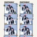 춘천정통닭갈비 이미지