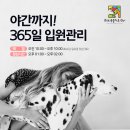 휴동물병원 이미지