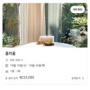 홈리홈 | [제주] 혼자와도 둘이와도 좋을 함덕 '홈리홈'