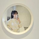 고대리진입로~ 고대리마을 벚나무 | 제주 서쪽 독채 숙소 애월오제 애견동반펜션 아이랑