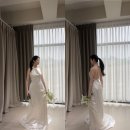 H hair - 상주시 | 제주 유인스냅 하얀작가님 촬영 후기🫧₊˚.𓂃(유인스냅, 캄포데피오리, 빛다, 히쁨, 목화수반) /욕망 성공...