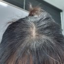 코스모페이지 | [내돈내산] 다이소 리노이아 드라이샴푸 플라워가든 50ml 후기