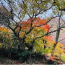 11월14일(토) 해남/두륜산 : [100대 명산] 한반도의 마지막 단풍 산행, 두륜산과 다도해가 만드는 최고의 비경 이미지