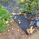 곡성-255 이미지